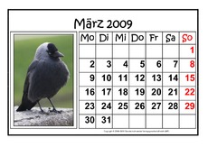 3-März-2009-quer.pdf